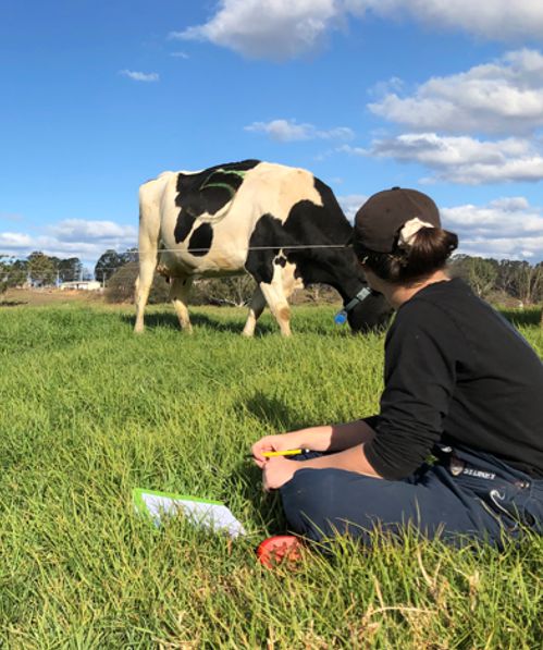 PhD opportunities in the dairy industry