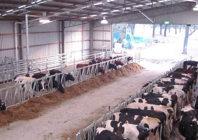 P2d – Interactions between dairy feeding systems, facility design, production and health