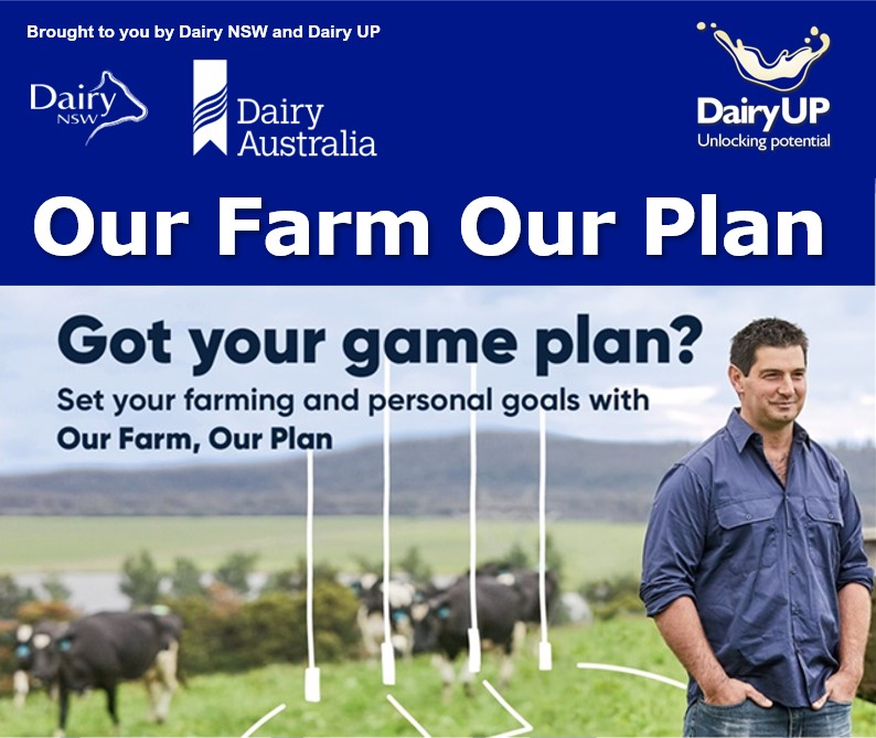 The Dairy UP Project P5 researches intensive dairy systems