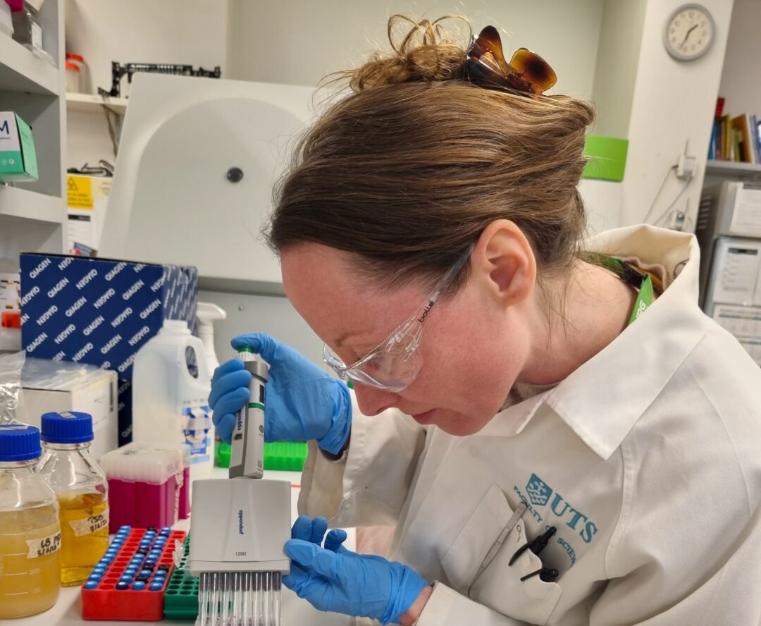 P2f – Whole genome sequencing of Escherichia coli from scouring calves from geographically diverse dairy production operations in New South Wales