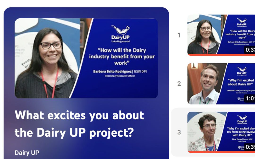 Dairy UP vox pop