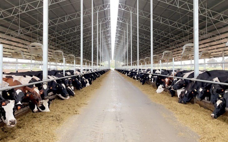 P2d: Facility Design for Cow Comfort