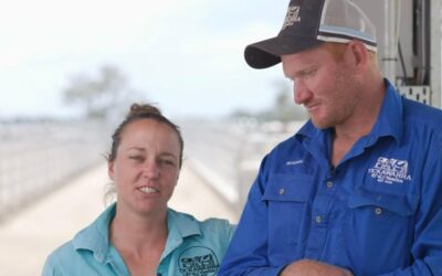 Resources for resilience – farm expansion goals and cattle shelters