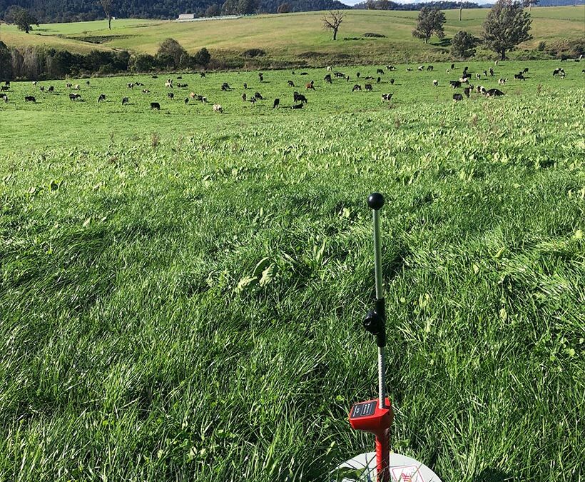 The hidden cost of pasture utilisation