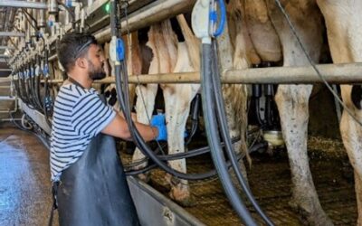 Milk with less lactose